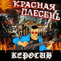 Скачать песню Красная Плесень - Горели поля (Dreadful Broz Remix)