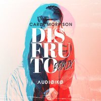 Скачать песню Carla Morrison - Disfruto (Audioiko Remix)