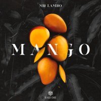 Скачать песню Mr Lambo - Mango (Aibek Berkimbaev & Rakhimzhanov Remix)