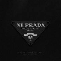 Скачать песню Morgenshtern, Arut, Элджей - NE PRADA (Andrey Rain Remix)