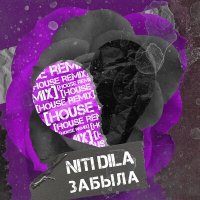 Скачать песню NITI DILA - Я тебя забыла я тебя не помню (Ремикс)