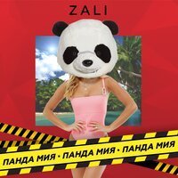 Скачать песню MC Zali - Панда Мия (M-DimA Remix)