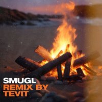 Скачать песню Smugl, TEVIT - У костра (Remix)