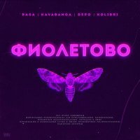 Скачать песню RASA & Kavabanga Depo Kolibri - Фиолетово (Mikis Remix)