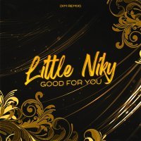 Скачать песню Little Niky - Good for You (XM Remix)