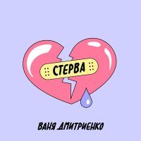 Скачать песню Ваня Дмитриенко - Стерва (DJ Baloo Extended Remix)