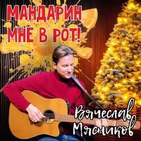 Скачать песню Вячеслав Мясников - Мандарин мне в рот! (Savitar Clifford Remix)