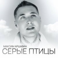 Скачать песню Максим Аршавин - Серые Птицы (dj Proale 2023 Mix)