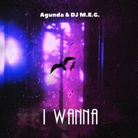 Скачать песню Agunda, DJ M.E.G. - I Wanna (Winstep Remix)