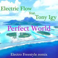 Скачать песню Electric Flow, Tony Igy - Perfect World (Electro Freestyle Remix)