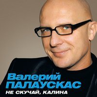 Скачать песню Валерий Палаускас - Зацелуй меня (KalashnikoFF Eurodance Mix)