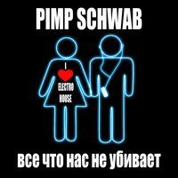 Скачать песню Pimp Schwab - Всё. что нас не убивает (Extended Club Mix)