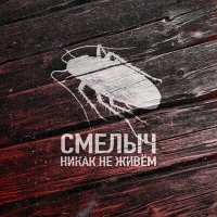 Скачать песню Мс Бабка - Никак Не Живем (TikTok Remix)