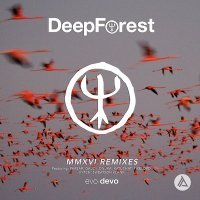 Скачать песню ONUKA, Deep Forest - Sing with the Birds (Onuka Remix)