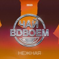 Скачать песню Чай Вдвоем - Нежная (DJ DimixeR Remix)