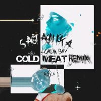 Скачать песню SA6TA6NI6KA, calm boy - COLD MEAT (Calm Boy Remix)