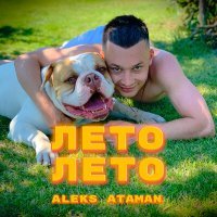 Скачать песню ALEKS ATAMAN - Лето, лето (GRINYA,ElectroHouse Remix)